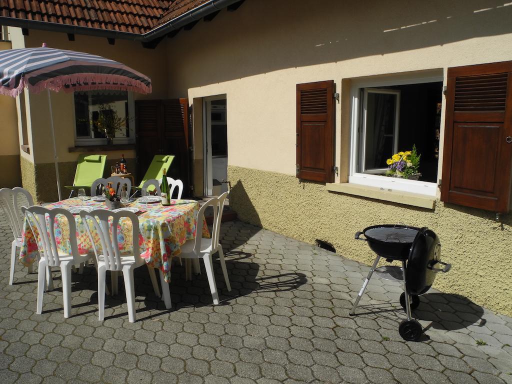 Au Pied Du Chateau Lichtenberg Стая снимка