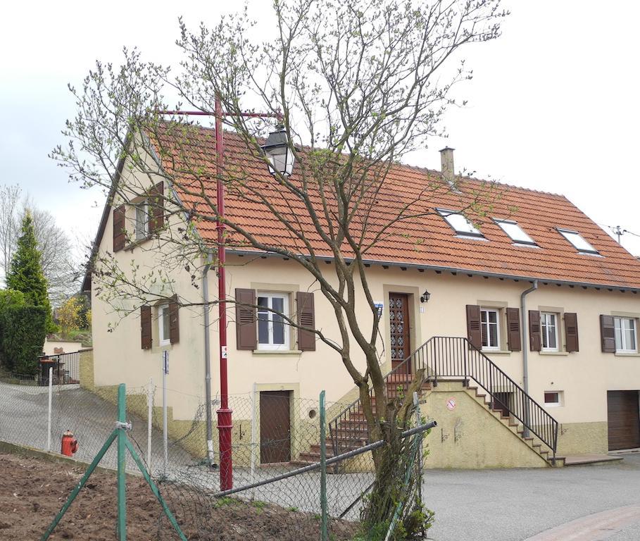 Au Pied Du Chateau Lichtenberg Стая снимка