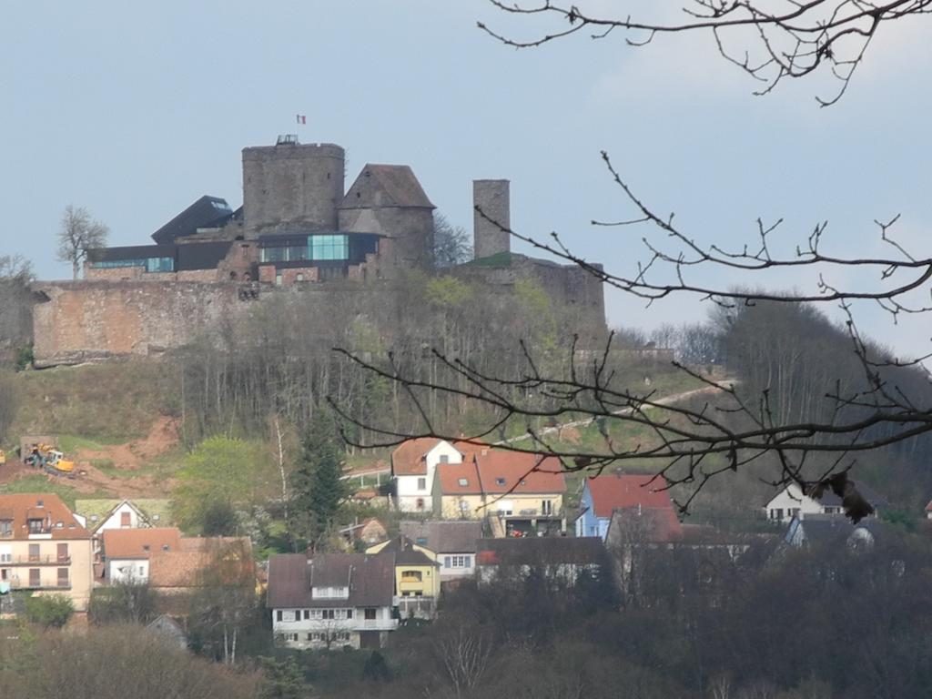 Au Pied Du Chateau Lichtenberg Стая снимка