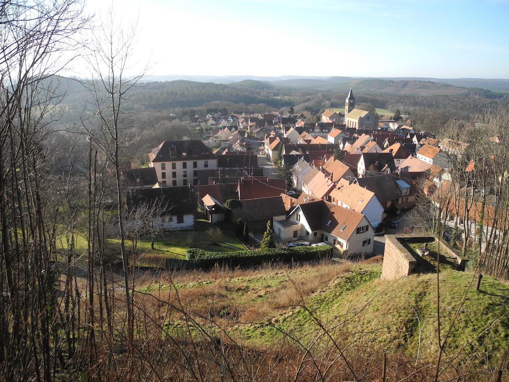 Au Pied Du Chateau Lichtenberg Стая снимка